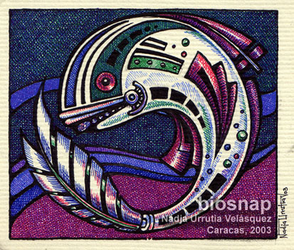 fish-01_web-copia1 Fish, Caracas, 2003